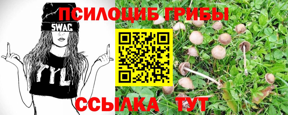 Мичуринск  Псилоцибиновые грибы GOLDEN TEACHER  Вход с VPN  Галлюциногенные грибы ЛСД 